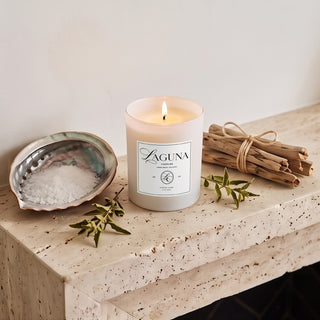 Panel 1: Lit Laguna “Citrus Cove” candle on a textured stone ledge next to a decorative abalone shell filled with coarse sea salt, bundled cinnamon sticks, and small green leaves.   