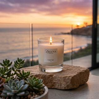 Panel 1: Lit Laguna “Forest Ave.” candle on a stone block next to a potted succulent against a sunset ocean background.
