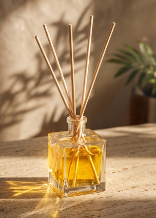 White Birch Reed Diffuser