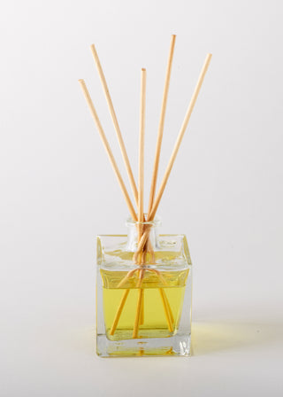 White Birch Reed Diffuser